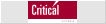 Critical Software